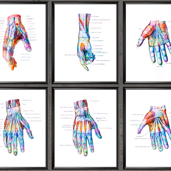 Hand Anatomy Print Set of 6 Wrist Muscles and Ligaments Print Chiropractor Gift Hand Surgery Art Medical Poster Clinic Decor Orthopedic Gift