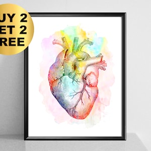 Aquarell Herz Anatomie Druck, Kardiologie Kunst, Herzchirurg Geschenk, Kardiologe Geschenk, Arzt Kunst, Klinik Dekor, medizinische Kunst