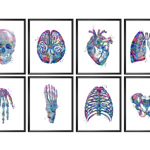 Anatomy Poster, Medical Watercolor Art, Human Skull, Brain Anatomy, Anatomical Heart, Lungs, Skeletal Bones, Pelvis, Rib Cage, Medicine Art