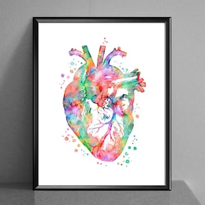 Watercolor Heart Painting Anatomy Art Medical Poster Cardiologist Gift Clinic Wall Decor Heart Surgeon Gift Med Student Gift Science Art