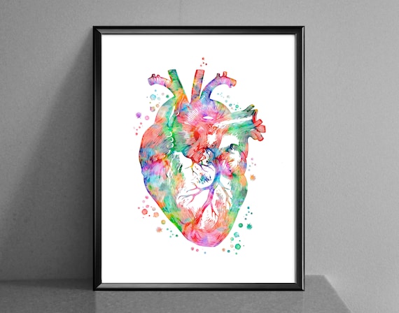 水彩ハート絵画 解剖学アート 医療ポスター 心臓専門医ギフト