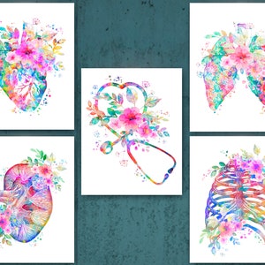 Floral Anatomy Poster Watercolor Heart Lungs Kidney Rib Cage Art Print Medical Stethoscope Art Doctor Office Art Clinic Wall Decor