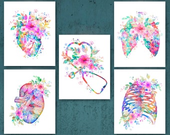 Floral Anatomy Poster Watercolor Heart Lungs Kidney Rib Cage Art Print Medical Stethoscope Art Doctor Office Art Clinic Wall Decor