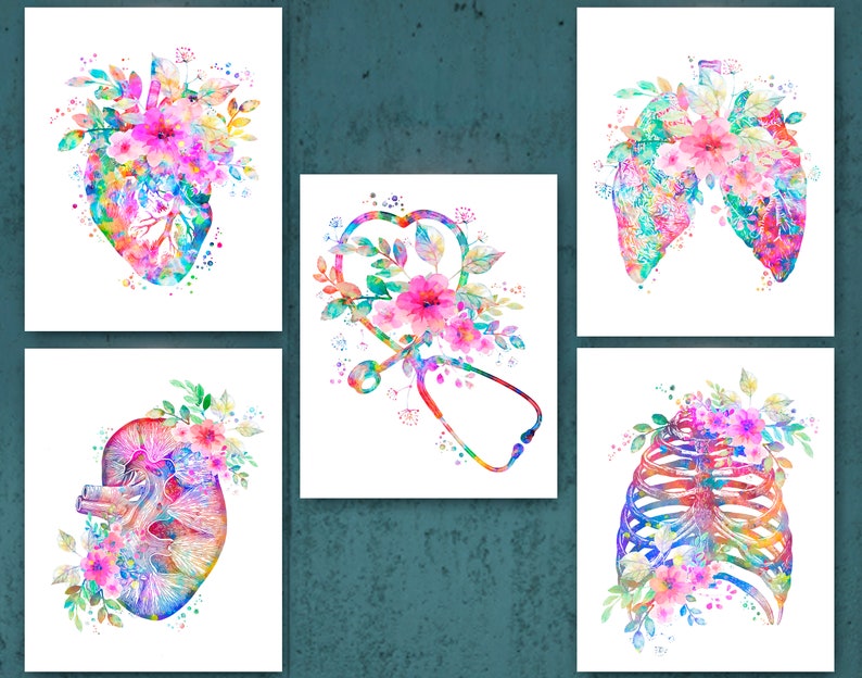 Floral Anatomy Poster Watercolor Heart Lungs Kidney Rib Cage Art Print ...