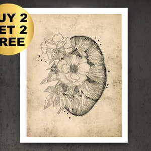 Nephrologie Vintage Kunst Floral Anatomische Niere Poster Medizinische Kunst Klinik Wand Dekor Chirurg Geschenk Physiotherapeut Geschenk Arzt Kunst