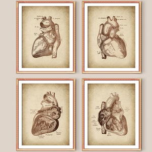 4 Vintage Menschliche Herz Kunst, Kardiologie Poster, Anatomisches Herz, Medizinische Anatomie Kunst, Arzt Büro Geschenk, Kardiologe Geschenk