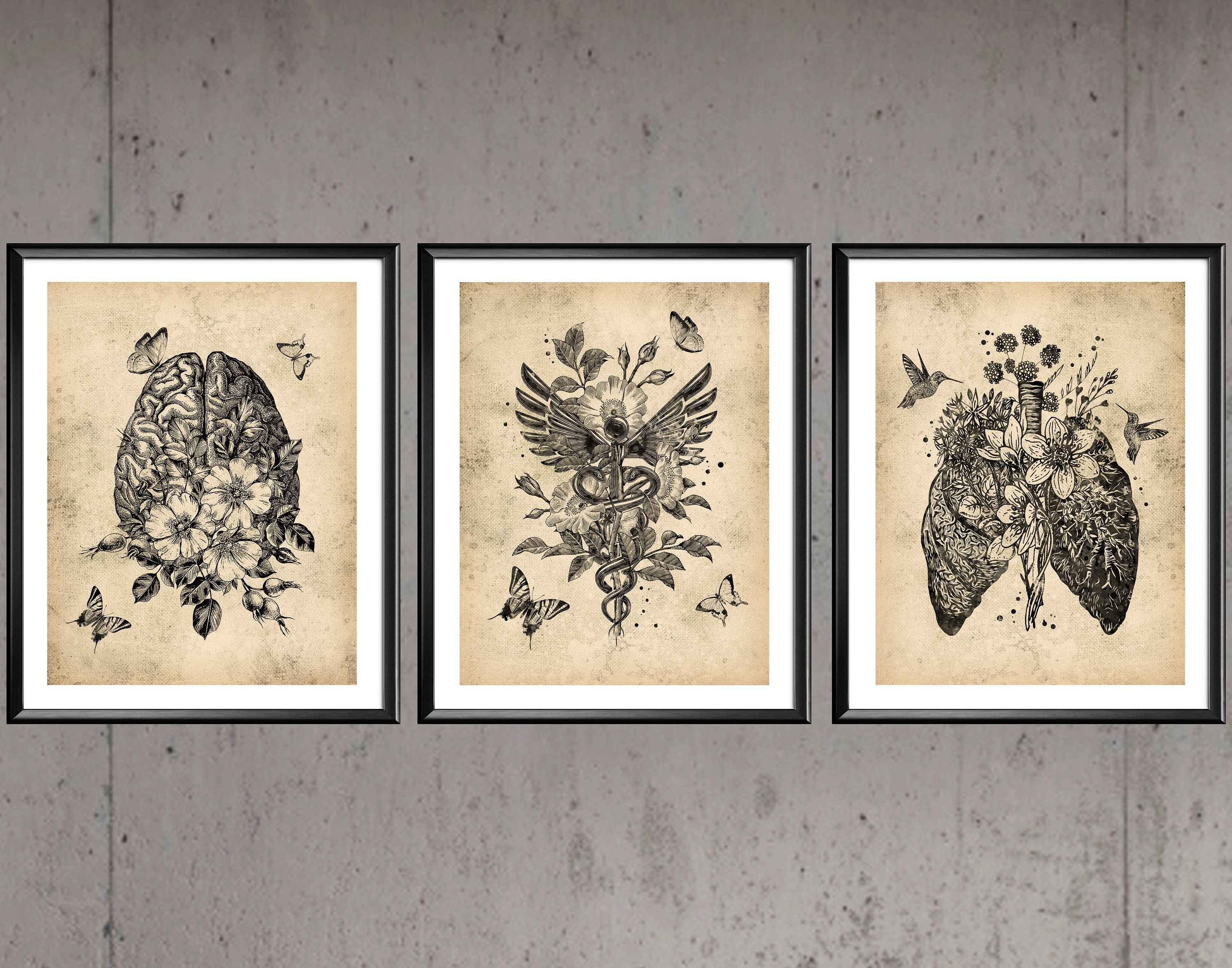 3 Vintage Doctor Gift Nurse Graduation Anatomy Art Medical Artwork ...