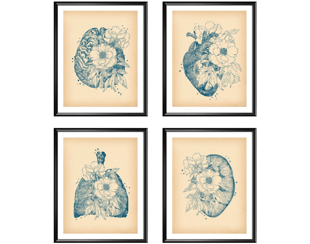 4 Vintage Anatomy Print Medical Art Anatomical Heart Print - Etsy