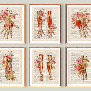 6 Hand Anatomy Foot Anatomy Posters Medical Art Dictionary Artwork Limb Muscles Structure Orthopaedic Surgeon Gift Orthopedist Gift