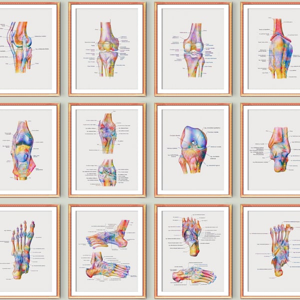 Printable Foot Anatomy Posters - Etsy UK