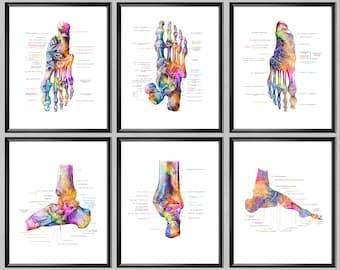 Foot Anatomy 6 Posters, Skeletal Bones Print, Podiatry Art, Medical Wall Art, Chiropractor Gift, Orthopedic Gift, Podiatrist Gift