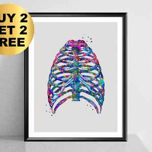 Thorax Watercolor Art Rib Cage Poster Medical Art Skeletal Bones Art Clinic Wall Decor Doctor Office Art Medical Student Gift