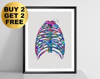 Thorax Watercolor Art Rib Cage Poster Medical Art Skeletal Bones Art Clinic Wall Decor Doctor Office Art Medical Student Gift