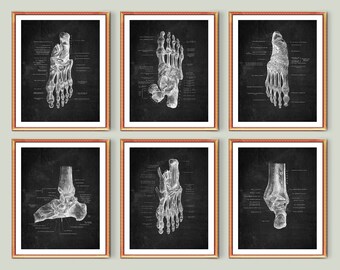 Set of 6 Foot Bones Anatomy Chalkboard Podiatry Art Medical Decor Orthopedist Gift Podiatrist Gift Surgeon Office Decor Medicine Poster