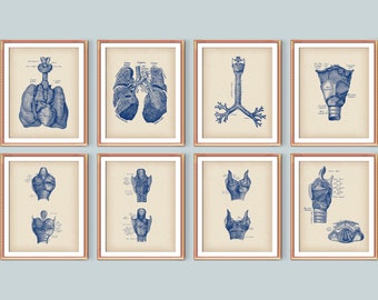 Set 8 Human Lungs Anatomy Vintage Art Respiratory System Poster Medical Decor Lungs with Trachea Structure Medical Education Chart