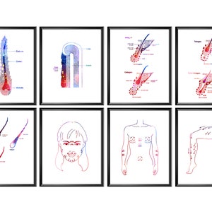 8 Haar Anatomie Kunst Fysiologie van Haar Poster Stadia van Haargroei Epileren Kunst Dermatoloog Gift Schoonheidsverwijdering Kamer Kunst