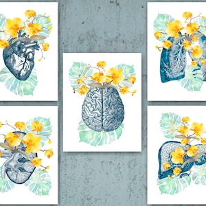 5 Anatomie Kunst Aquarel Gele Orchidee Art Medische Kunst Dokter Kabinet Gift Anatomisch Orgaan Art Menselijk Brein Hart Longen Lever Nier