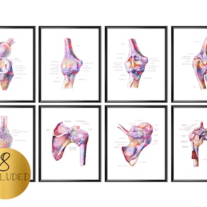 Shoulder Human Anatomy Posters Elbow Joint Art Scapula Bone Print Medical Art Skeletal Bones Structure Clinic Decor Orthopedic Gift
