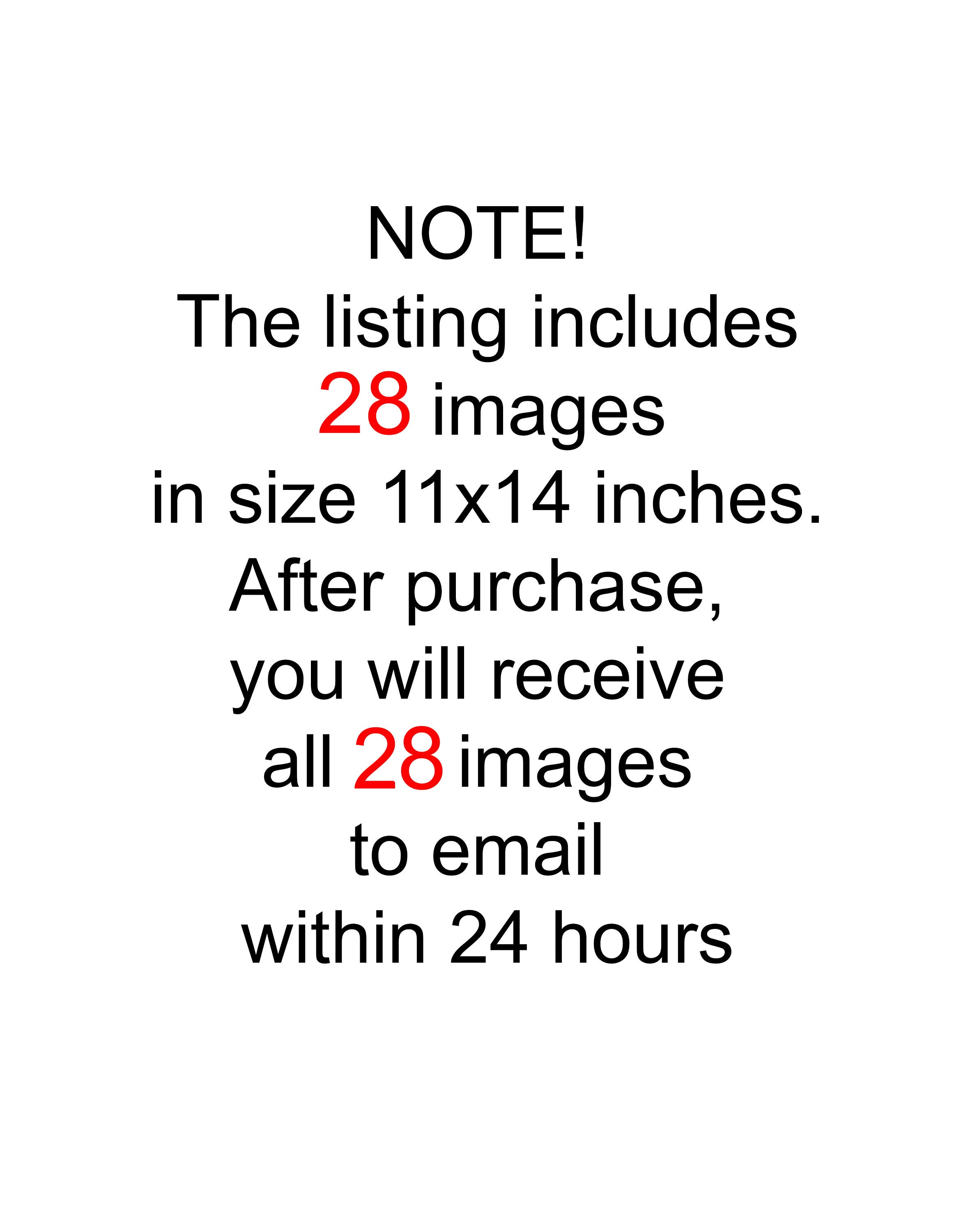 28 Human Body Anatomy Posters Muscles Diagram Medical Art Etsy