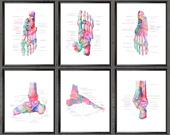 Foot Bones Anatomy Print Set of 6 Podiatry Art Medical Poster Orthopedist Gift Podiatrist Gift Doctor Office Decor Medicine Print