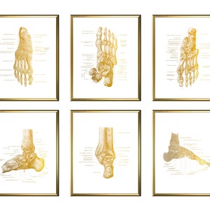 Gold Foot Bones Anatomy Art Set of 6 Podiatry Art Medical Poster Orthopedic Gift Podiatrist Gift Doctor Office Decor Surgeon Gift