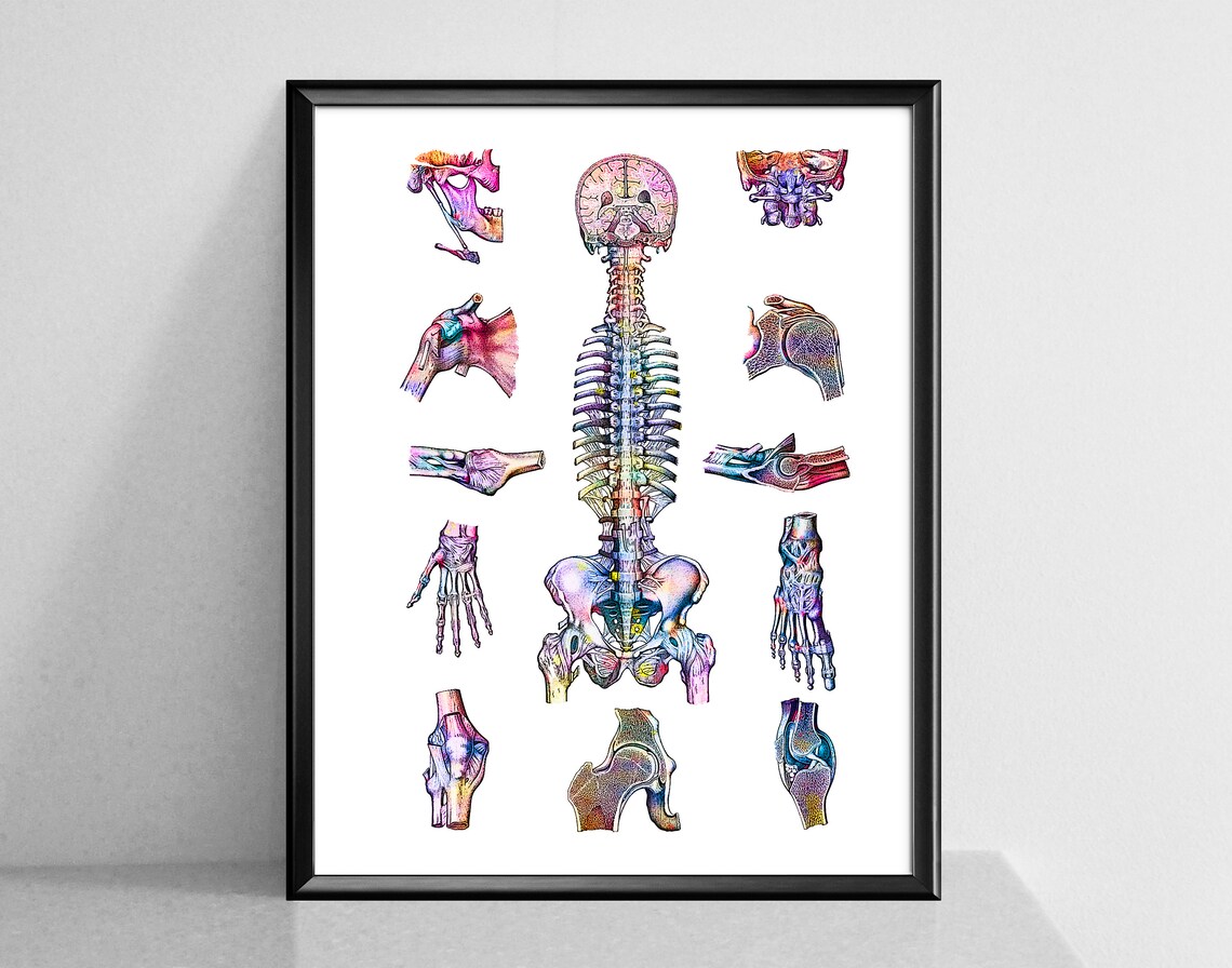Human Anatomy Watercolor Print Set of 6 Skeletal Bones Structure Poster ...