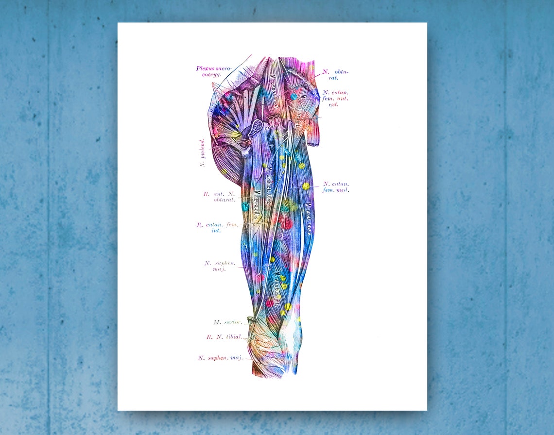 Anatomical Prints Foot Anatomy Art Podiatrist Gift Foot Etsy