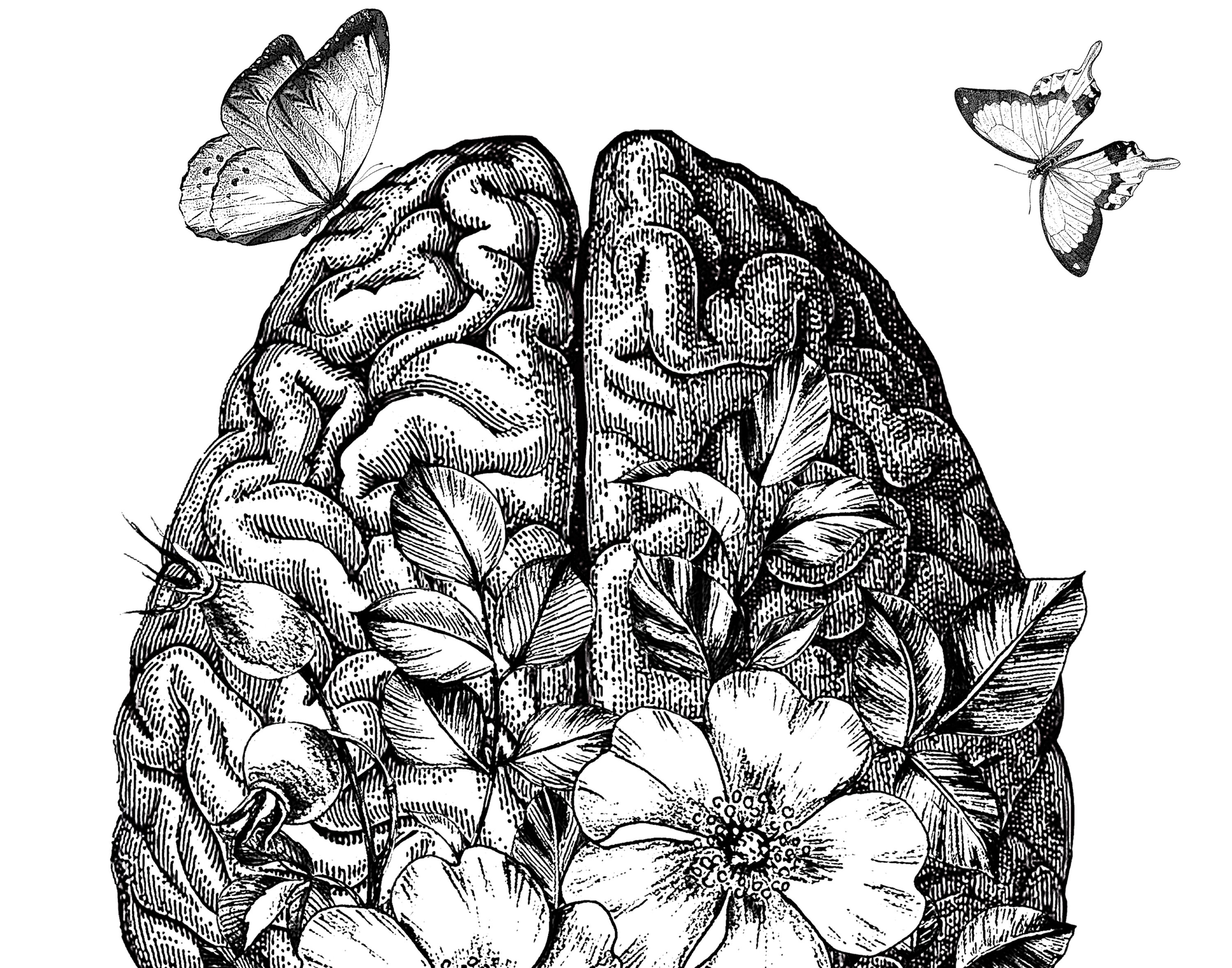 Neurologist Gift Anatomical Brain Print Medical Art Etsy
