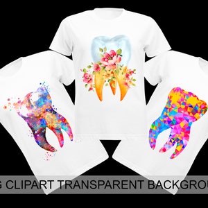 3 Tooth Clipart Dentist Clipart Molar Tooth Anatomy Clipart Medical Clipart Doctor Clipart PNG Clipart Medical Designs PNG Sublimation