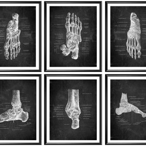 Anatomical Human Foot Posters Anatomy Chalkboard Art Podiatrist Gift Foot Bones Poster Orthopedist Gift Clinic Wall Decor Doctor Gift