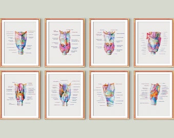 8 Respiratory System Anatomy Art Posters Larynx Anatomy Labeled Structure Diagram Medical Art Doctor Gift Pulmonologist Office Decor