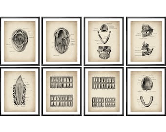 8 Antique Dental Posters, Medical Art, Dentist Gift, Orthodontist Gift, Science Art, Anatomy Art, Dental Clinic Wall Decor