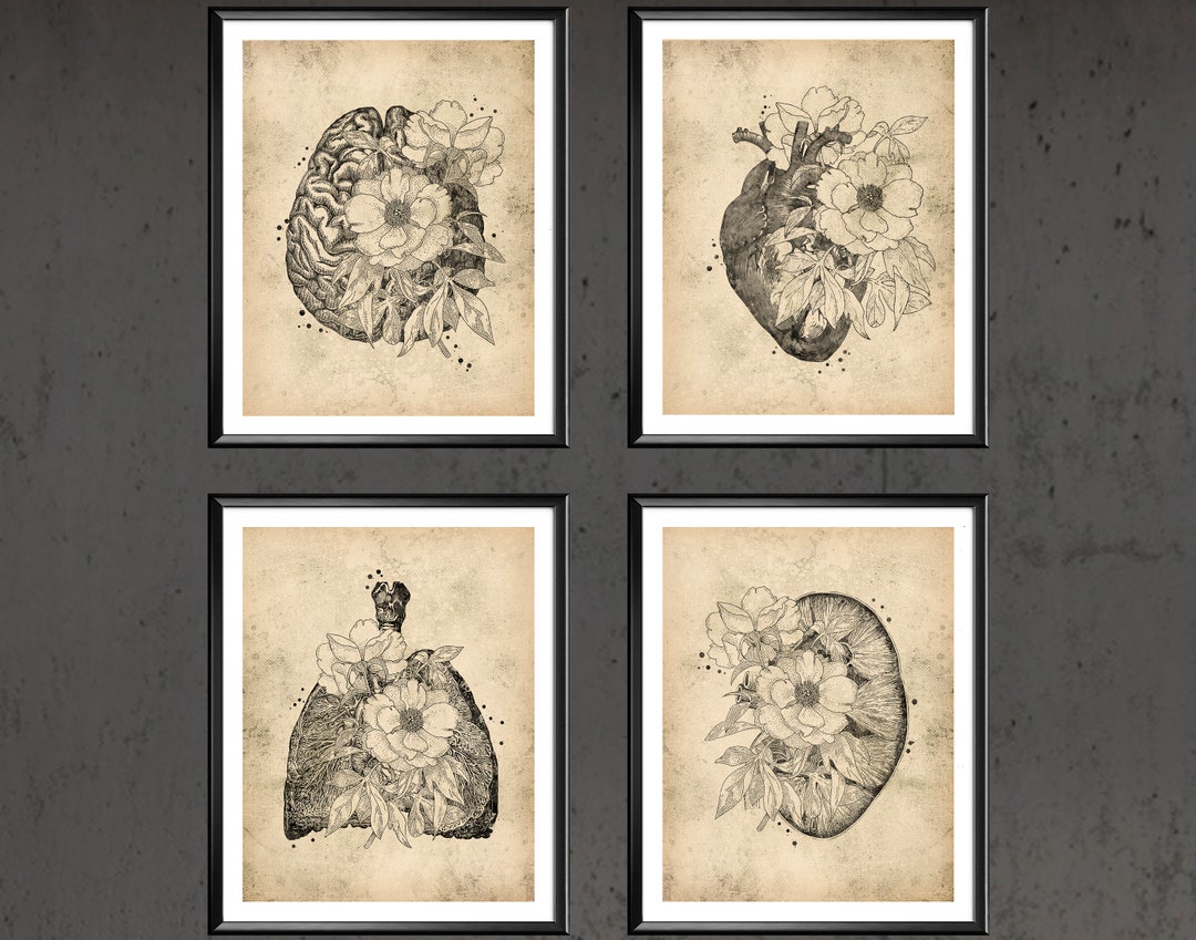 Antique Floral Anatomy Art Set Medical Decor Floral Heart Lungs Brain