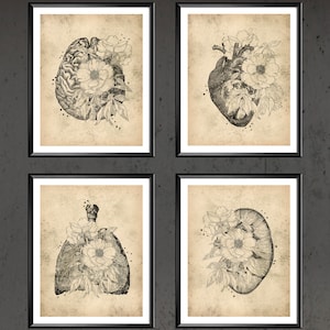 Antique Floral Anatomy Art Set Medical Decor Floral Heart Lungs Brain Kidney Clinic Decor Surgeon Gift Doctor Art Physical Therapist Gift