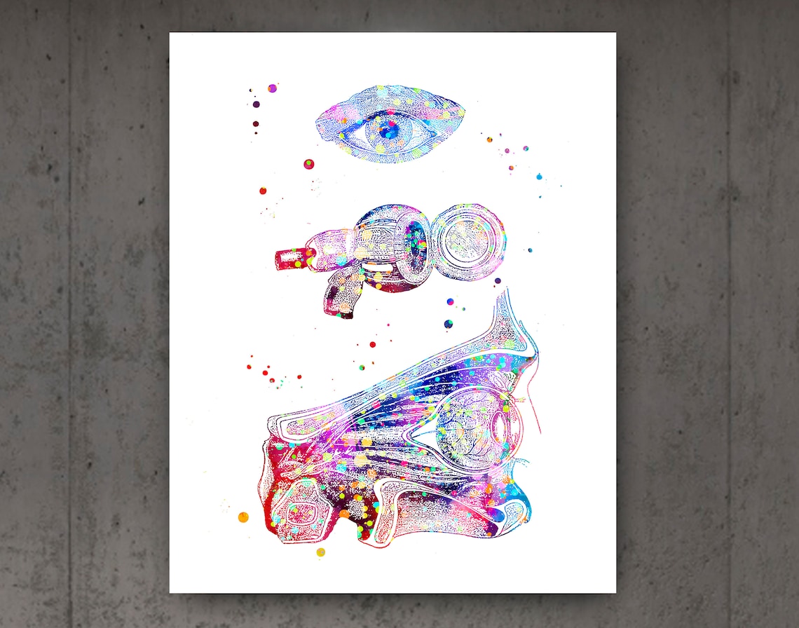 Ophthalmology Art Eye Anatomy Print Set Optometrist Gift | Etsy