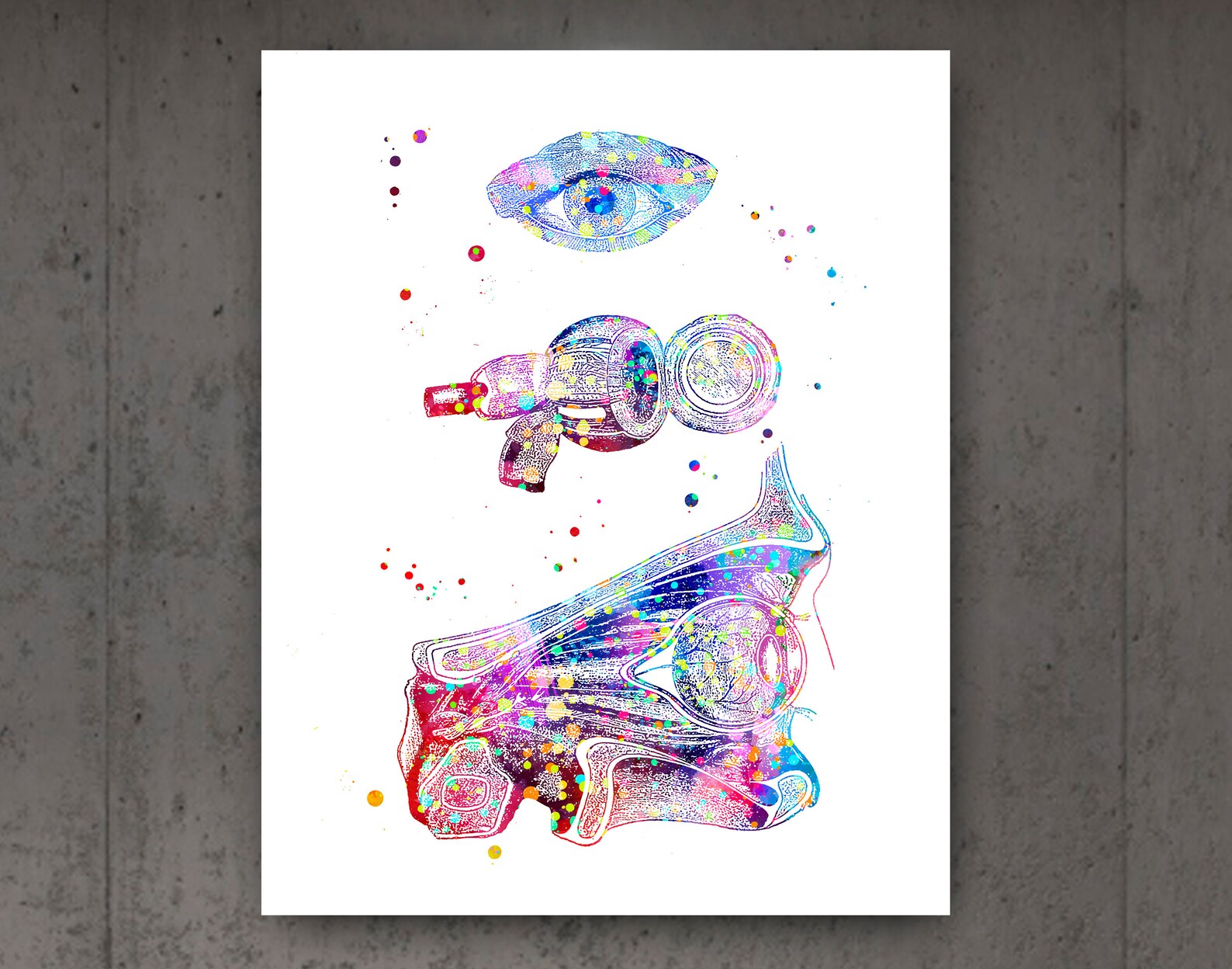 Ophthalmology Art Eye Anatomy Print Set Optometrist Gift Etsy