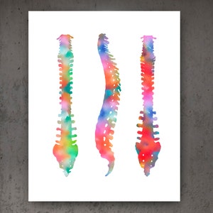 Spine Watercolor Print Set Vertebral Bones Anatomy Art Medical Poster ...