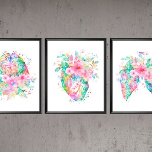 May include: Three watercolor prints featuring anatomical illustrations of the brain, heart, and lungs. Each illustration is surrounded by pink and green flowers.