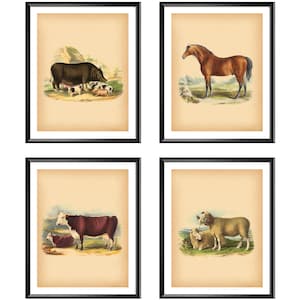 Vintage Farm Animals Poster, Farmhouse Decor, Country Art, Animals Illustration, Provence Decor, Horse, Pig, Sheep, Cow