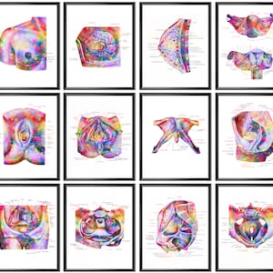 SET 12 Female Anatomy Art Posters, Gynecologist Gift, Medical Art, Woman Reproductive System, Anatomical Uterus, Breast Anatomy, Doctor Gift