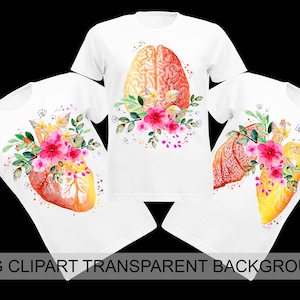 3 Watercolor anatomy PNG clipart Floral anatomy designs Human heart clipart Bran clipart Lungs clipart Medical clipart Doctor gift Nurse art