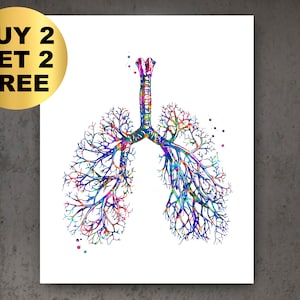 Può includere: Un'illustrazione ad acquerello colorata dei polmoni umani. L'illustrazione è in un arcobaleno vibrante di colori, con i bronchi e gli alveoli rappresentati in dettaglio.