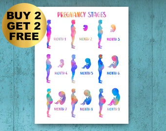 Pregnancy Stages Poster Watercolor Pregnant Woman Art Fetal Development Art Pregnancy Reveal Obstetrician Gift Gynecologist Gift