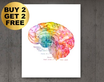 Anatomical Brain Watercolor Print, Neurology Art, Medical Art, Human Anatomy Poster, Neurologist Gift, Psychiatrist Gift, Neurosurgery Art
