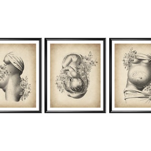 May include: A set of three framed wall art prints featuring black and white anatomical illustrations of pregnancy and fetal development on a vintage-style beige background, each enclosed in a simple black frame with a white mat border.