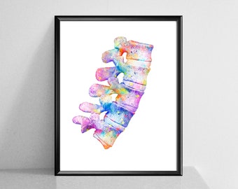 Heilkee Line Art Anatomia – Poster Terapia 4 Pezzi, Decorazione Parete Boho Minimal Per Ufficio Medico O Soggiorno