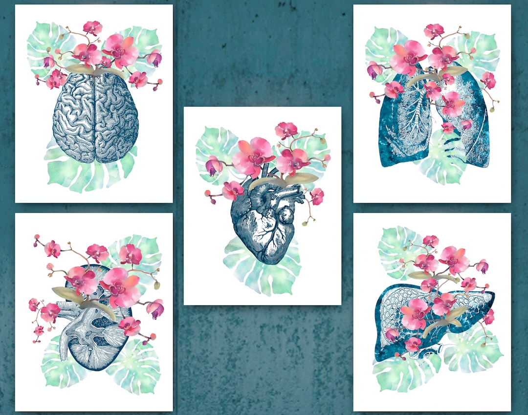 Floral Anatomy Art Set of 5, Watercolor Internal Organs, Medical Art