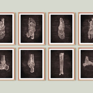 Anatomical Foot Poster Set of 8 Medical Poster Chalkboard Art Foot Bones Podiatrist Gift Chiropractor Gift Doctor Office Art Clinic Decor
