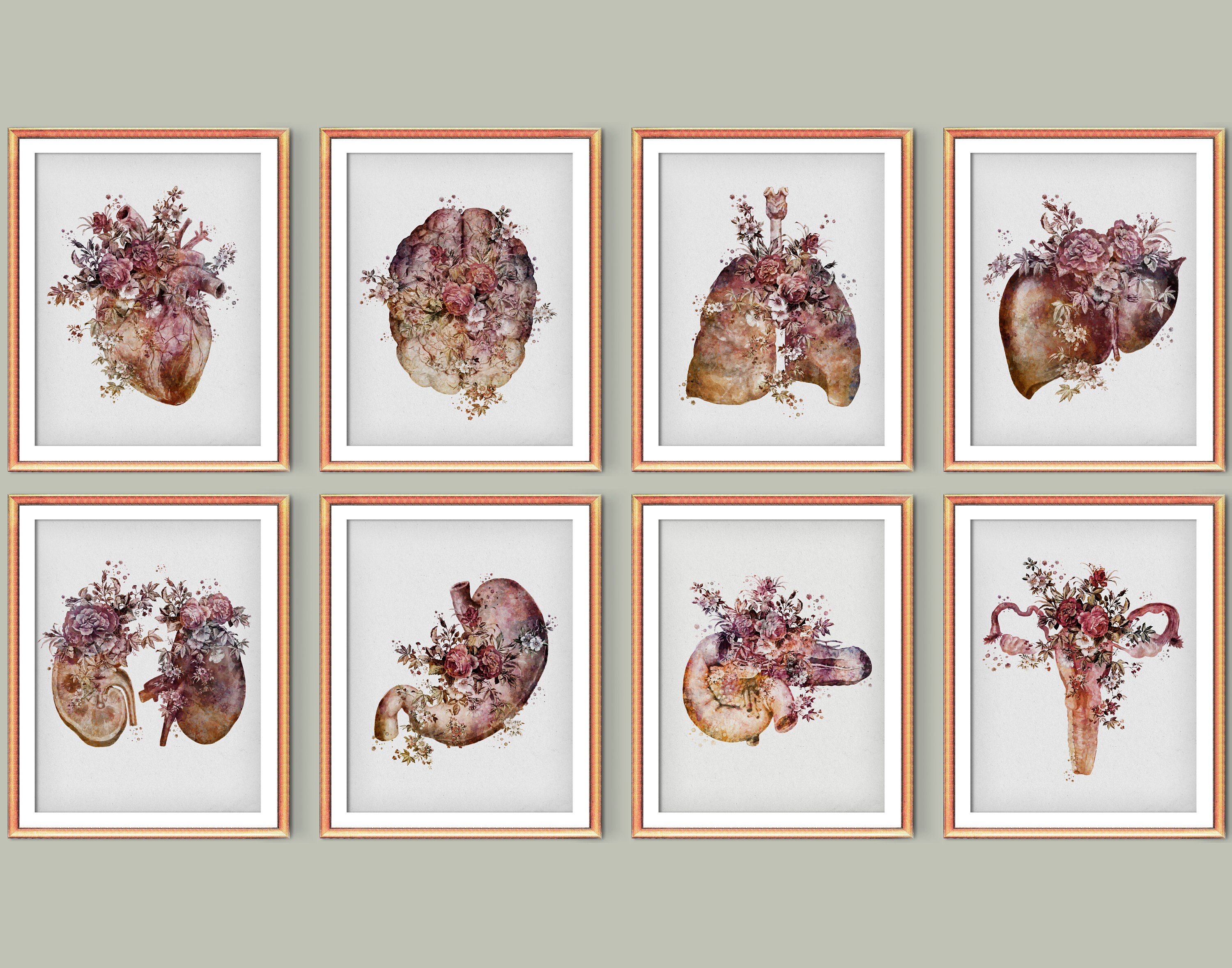 Medical Anatomical Art Set 8 Vintage Floral Anatomy Posters Etsy