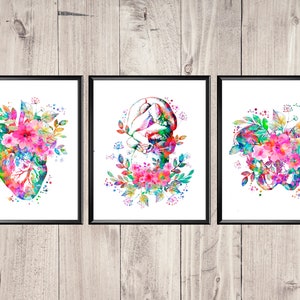 Anatomia Kwiatów Akwarela Druk Anatomiczny Serce Płód w Macicy Plakat Miednicy Prezent Położnika Sztuka Baby Shower Prezent Dla Kobiety W Ciąży